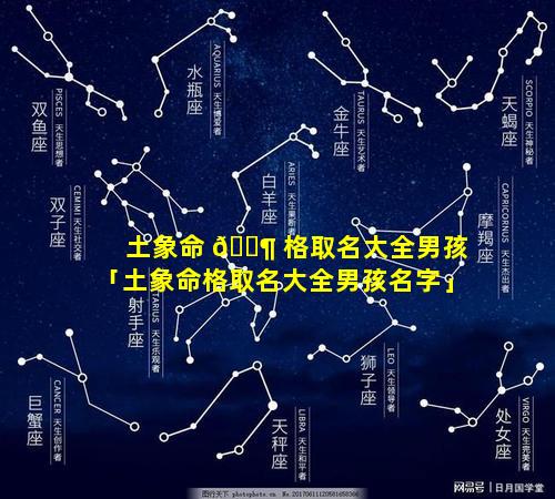 土象命 🐶 格取名大全男孩「土象命格取名大全男孩名字」